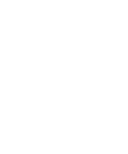 Polyirbis Game Studios